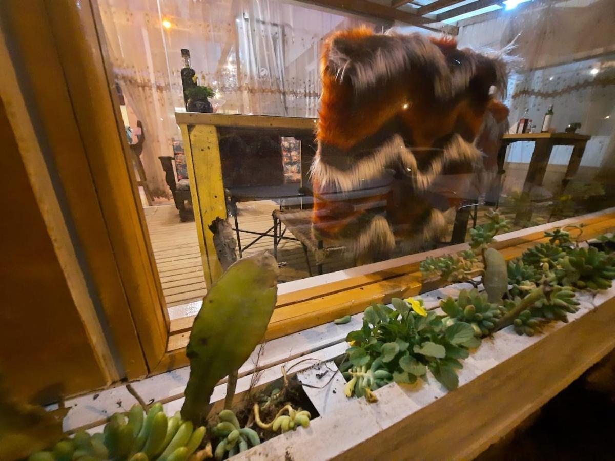 Pousada Vitrine Cambará Eksteriør bilde